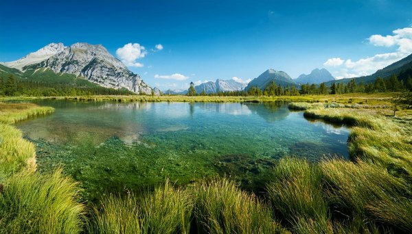 Applications essentielles pour trouver des repas économiques en voyage